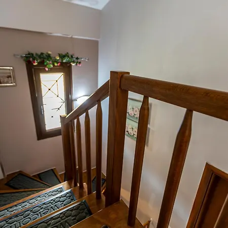 Sofia's * نيكيتي